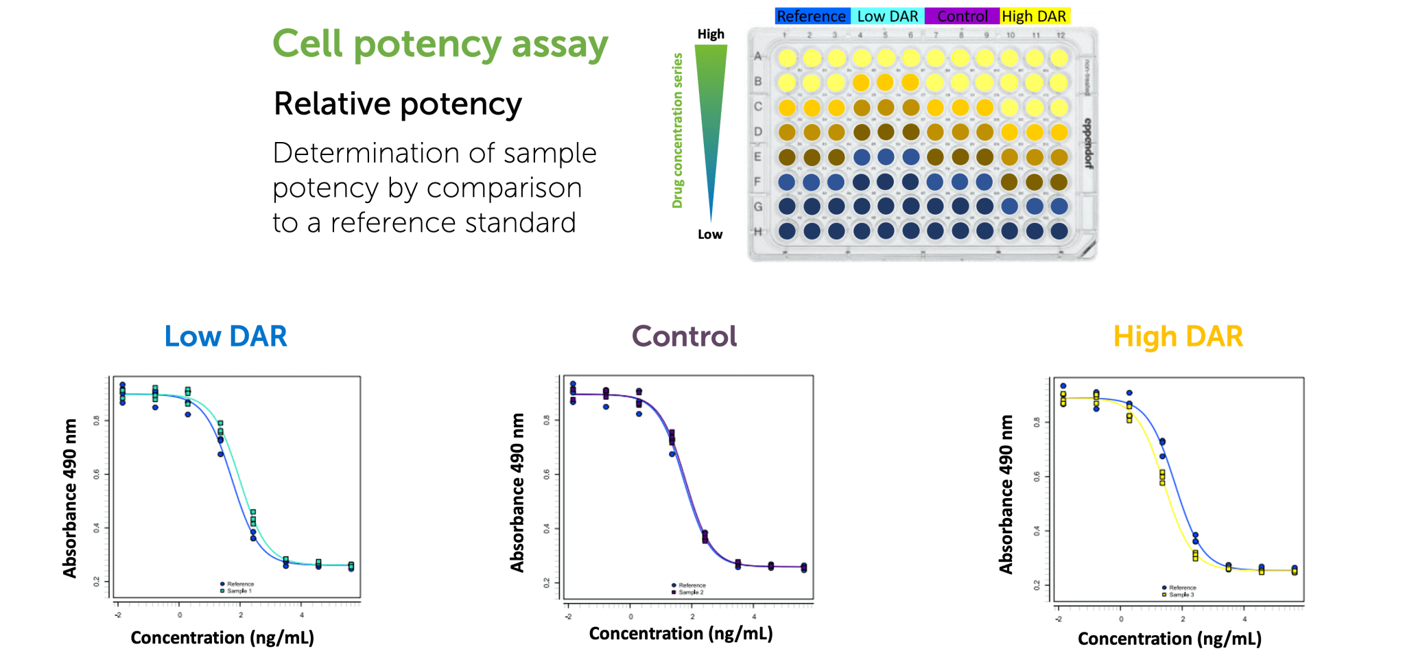 Analytical method validation for cell-based potency assays